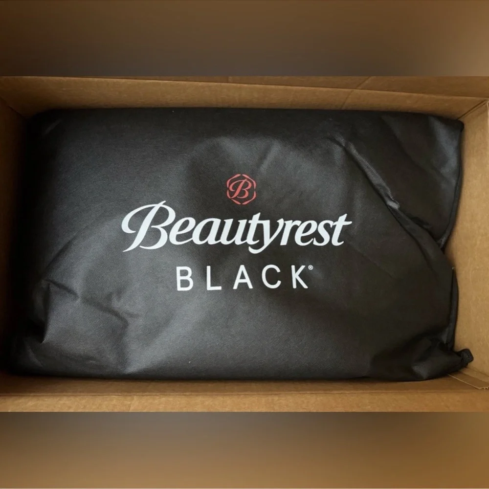 🎉LAST CHANCE🎉Beautyrest Black Luxury Goose Down And‎ Feather Pillow